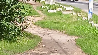 В Бежицком районе по улице Орловской произошло ДТП