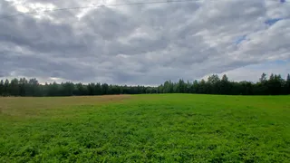 В Чувашии выявили нарушения при использовании агрохимикатов на полях