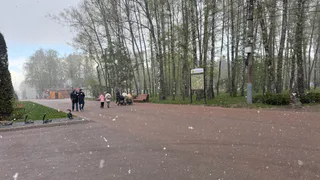 МЧС предупреждает рязанцев о возможных заморозках в праздничные дни