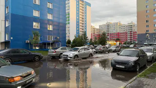 Эль-Ниньо входит в температурный пик и грозит катаклизмами – что будет в России