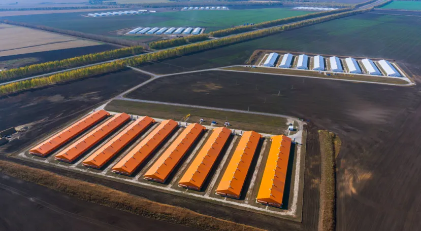 В Пензе «Дамате» начала строительство двух птицеводческих блоков