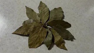 Положите лавровый лист в спальне и будете спать спокойно: вот на что это влияет - эффект увидите сразу