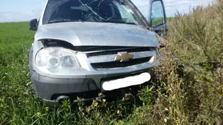 В Пителинском районе водитель «Нивы» вылетел в кювет