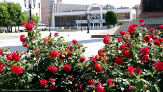 Люди хотят жениться: в Рязани закончились свободные даты на регистрацию брака