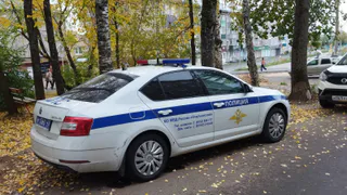 Нестандартная просьба ДПС: зачем инспектору смотреть ваш язык и как правильно реагировать