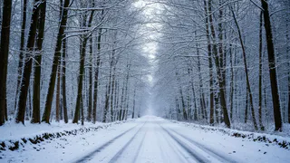 Синоптики назвали три региона России, где в ближайшие дни будет холоднее, чем на Северном полюсе