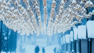 Зима в Рязани будет теплой