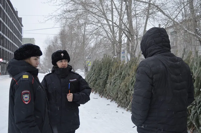 В Челябинской области прошла проверка мест торговли елками