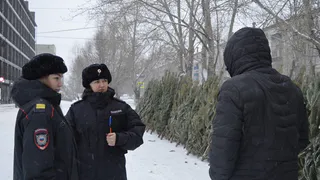 В Челябинской области прошла проверка мест торговли елками