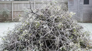 Дачники, срезанные ветви никогда не сжигайте: не мусор, а ценный клад для сада и огорода