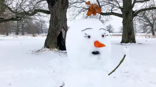 28 декабря в Рязанской области ожидаются осадки и до -6