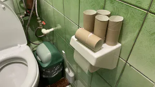 Втулки от туалетной бумаги берегу как зеницу ока: вот как их применяю — полезная вещь для решения многих проблем