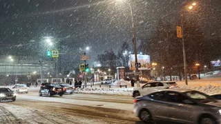 Россиян ждет самый холодный май за последние 140 лет: ученые обновили прогноз погоды на месяц