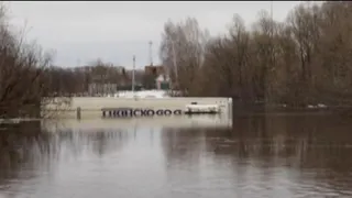 В Ряжском районе 13 марта при пересечении моста утонула фура
