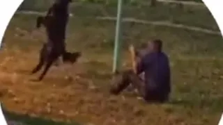 В Рыбновском районе засняли пытавшегося повесить пса на турнике рязанца