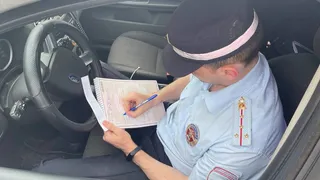 Госавтоинспекторы Рязанской области задержали 22 пьяных водителя за три дня