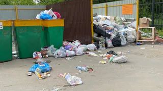 Уже завелись крысы! У дома на Пугачева не вывозят мусор