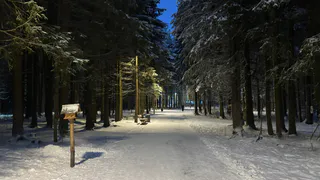 Коми ждет погожий зимний день: прогноз погоды на 21 февраля