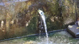 Во Владимире проверили качество воды в семи родниках