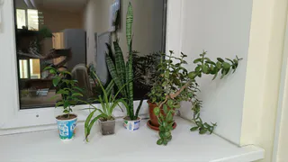 Домашние вампиры: 6 вещей в доме, которые высосут всё ваше здоровье