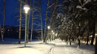 Жителям Пачелмы приходится добираться до маршруток в полной темноте