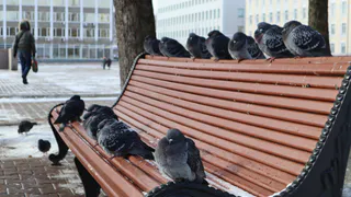 Магнитогорцам придется еще померзнуть: морозная погода сохраняется на Южном Урале