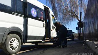 Народный контроль: утром сесть в маршрутку №77 практически невозможно