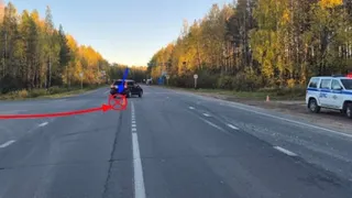 В Коми в трех ДТП пострадали 4 человека: пассажиры автобуса и машины, юный пешеход