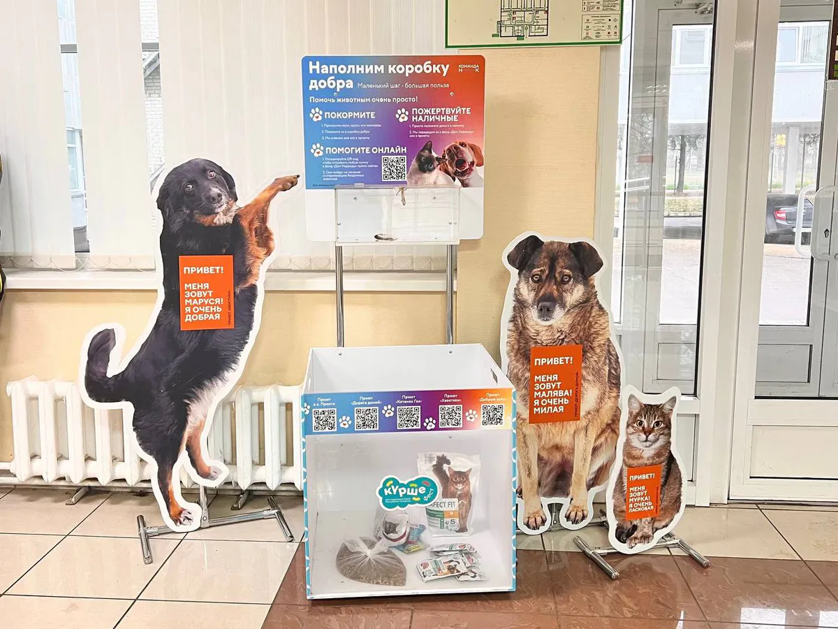 В МФЦ в Нижнекамске появился «Короб добра» для бездомных животных