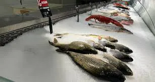 Названа самая полезная для человека рыба - ешьте 2 раза в неделю, богата витаминами и йодом