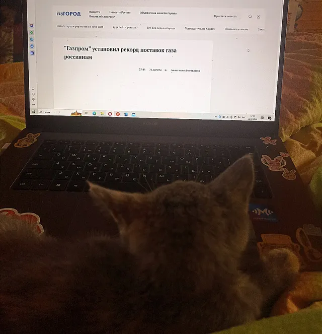 В Госдуме призвали развивать аналоги YouTube в России