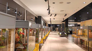 В Рязани выявили нарушения в работе выставки животных