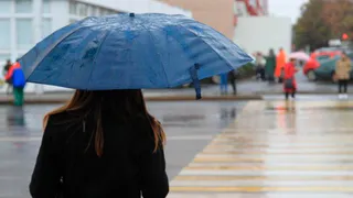 Жителей Брянской области 31 августа ожидает небольшой дождь