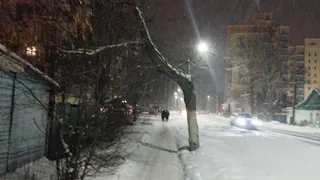 В Рязанской области фура с опасным грузом вспыхнула после ДТП