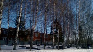 Жительница Большого Афанасова: «Очень хотим парк»