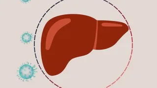 Владимирские эксперты назвали штаммы гепатита и объяснили, как защитить печень
