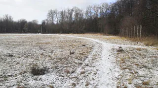 Голоса чудесным образом уравнялись: мониторинг опроса о школе в Лесопарке