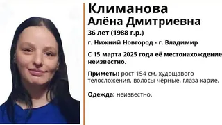 Во Владимирской области ищут пропавшую женщину из Нижнего Новгорода