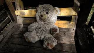 Во Владимирской области за 2024 год улучшены условия жизни более 600 детей