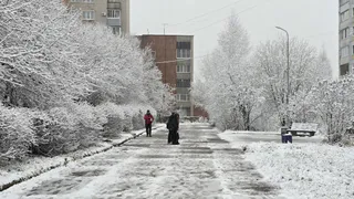 Чего ждать от зимы 2025–2026 - будут ли снег и морозы? Синоптики поставили точку