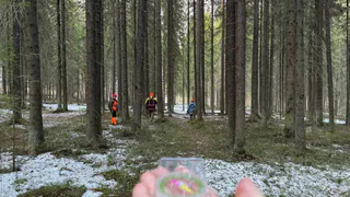 Добровольцы "ЛизаАлерт" в Коми осваивают искусство спасения