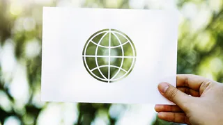 Сдай макулатуру - спаси дерево!