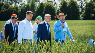 Новинки техники и миллионные гранты: в Чувашии дан старт аграрной выставке "День поля"