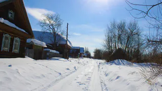 "Вводится полный запрет": владельцев дач в России огорошили новым правилом