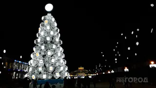 Во время новогодних праздников в Рязанской области введут режим повышенной готовности