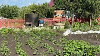 Дачники кипят от злости и ярости: с завтрашнего дня на участках начнут сносить заборы