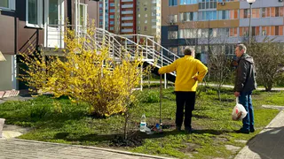 Работающих пенсионеров в агусте ждет перерасчет пенсии: кому ждать выплат