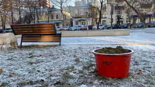 Еще одна волна заморозков ударит с 17 мая мая: погода на завтра продолжает удивлять