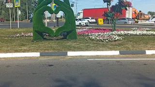 Рука-сердце: Владимир встречает гостей новой топиарной фигурой