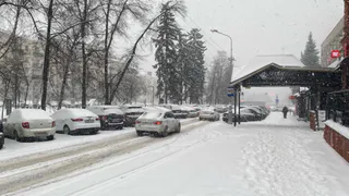 Новый год 2026 — какой погодой удивит Россия в праздничную ночь и каникулярное время